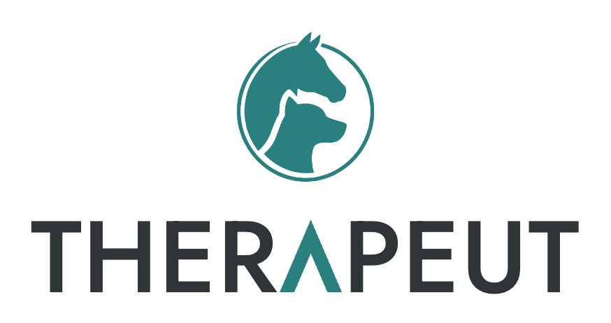 Therapeut
